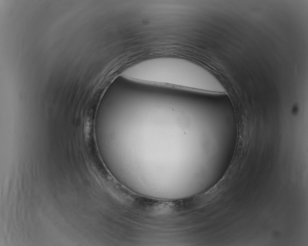 X0000116460124200912090936