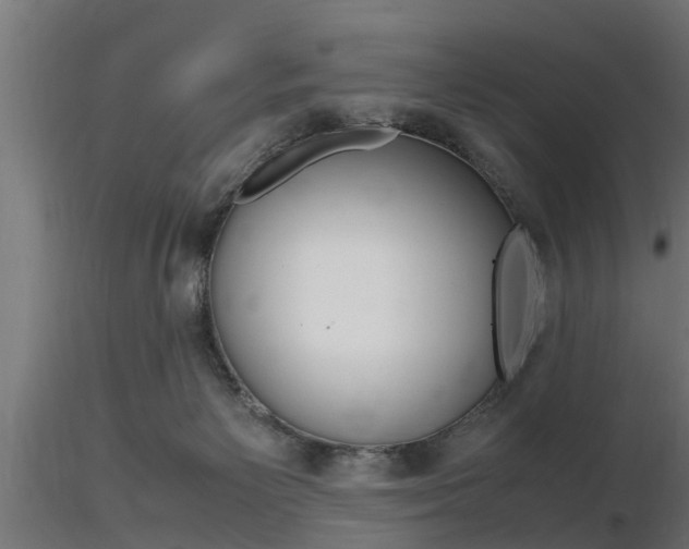 X0000116460125200912090936