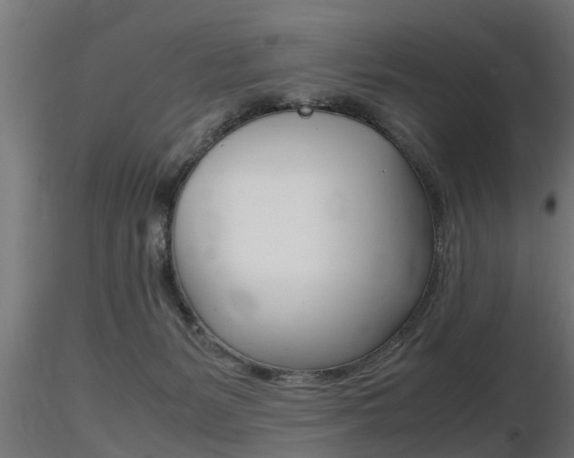 X0000116460127200912090936