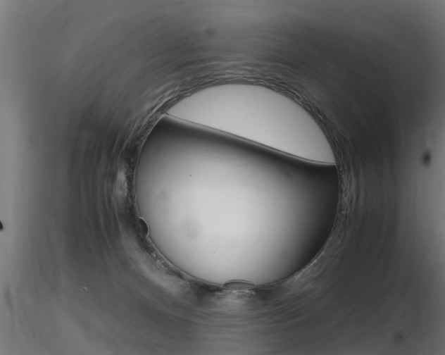 X0000116460128200912090936