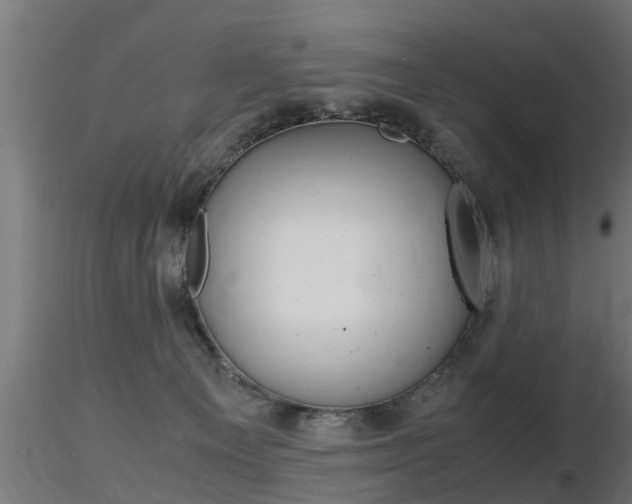 X0000116460129200912090936