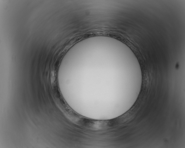 X0000116460130200912090936