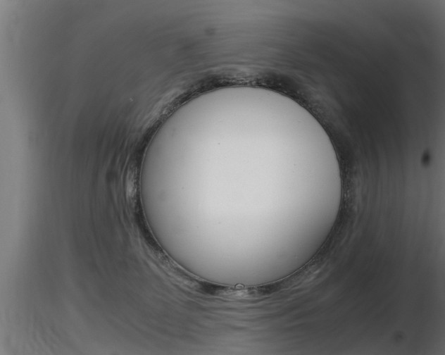 X0000116460131200912090936