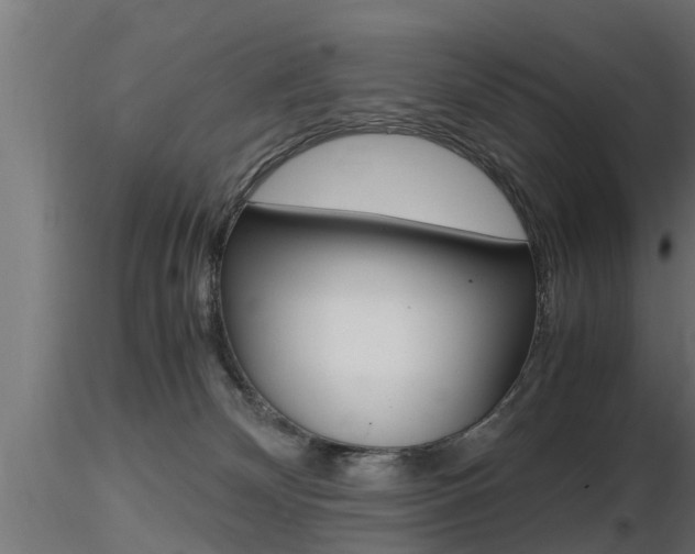 X0000116460132200912090936