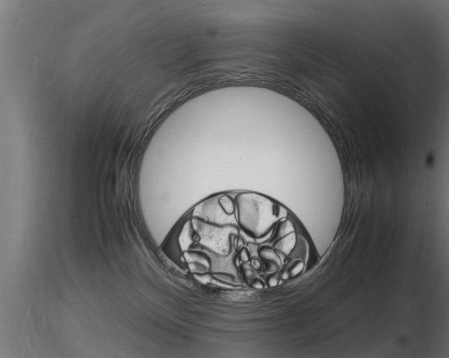 X0000116460136200912090936