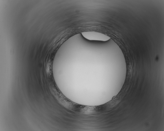 X0000116460138200912090936