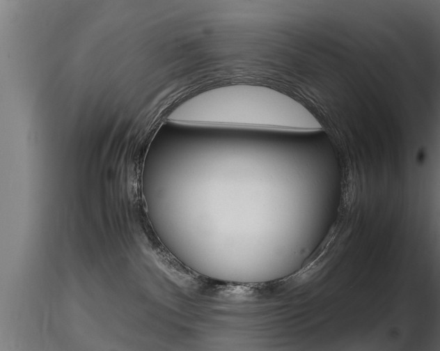 X0000116460140200912090936