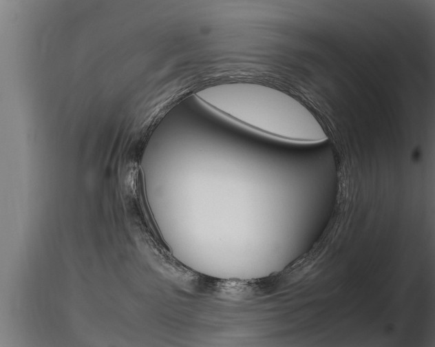 X0000116460141200912090936