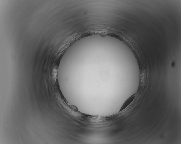 X0000116460142200912090936