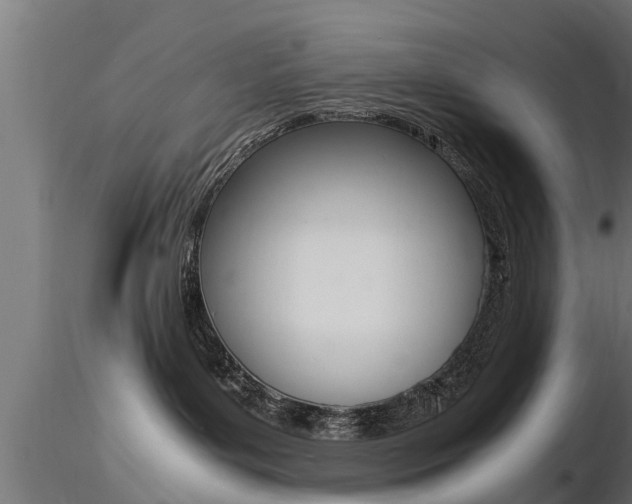 X0000116460143200912090936
