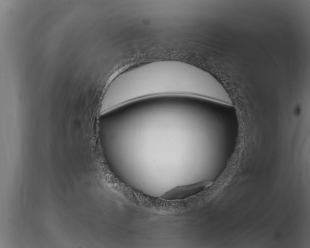 X0000116460144200912090936