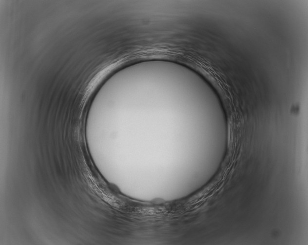 X0000116460147200912090935