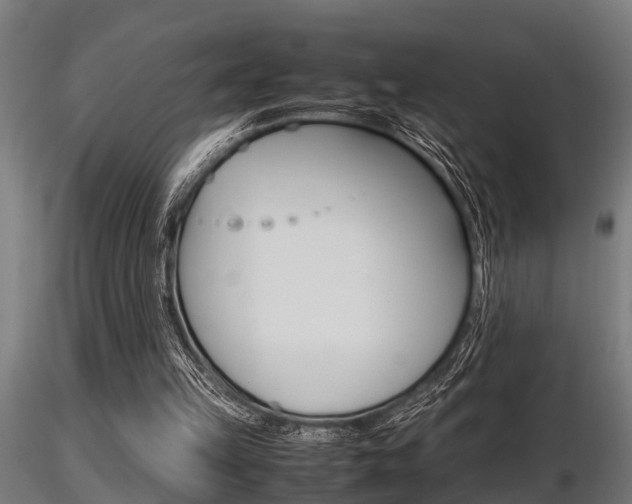 X0000116460149200912090935