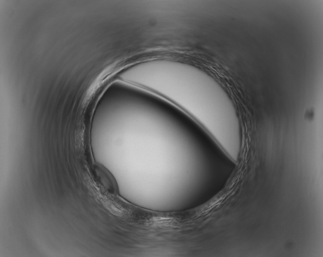 X0000116460150200912090935