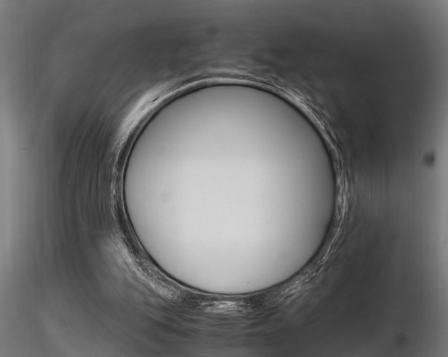 X0000116460151200912090935
