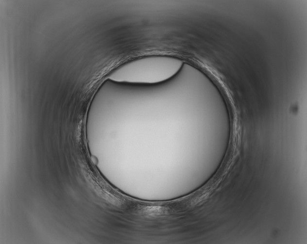 X0000116460153200912090935