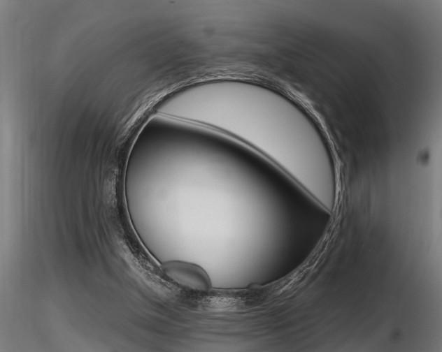 X0000116460154200912090935