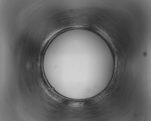 X0000116460155200912090935