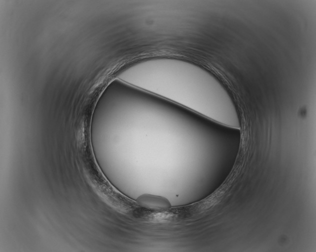 X0000116460158200912090935