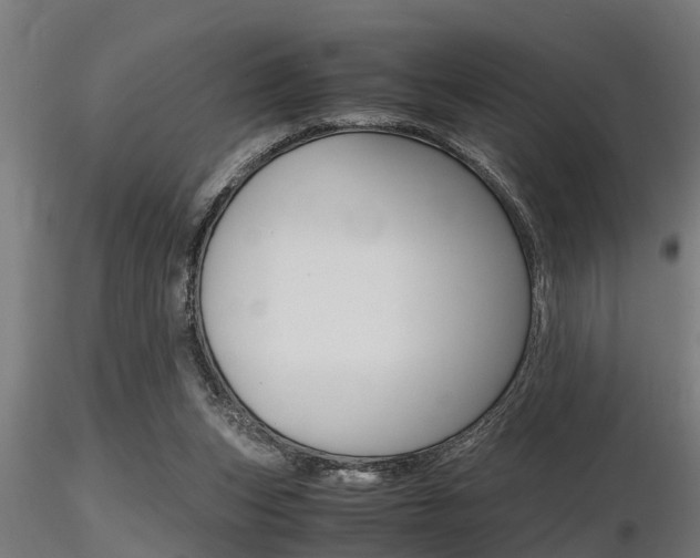 X0000116460159200912090935