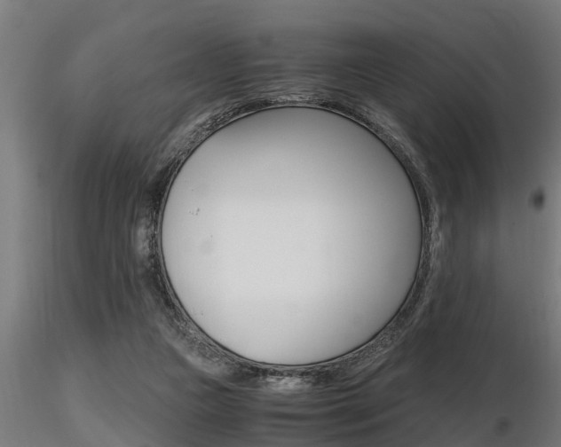 X0000116460161200912090935