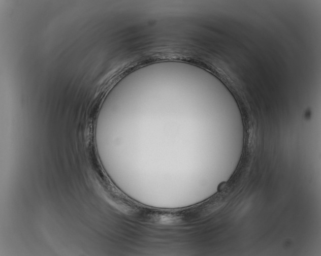 X0000116460165200912090935