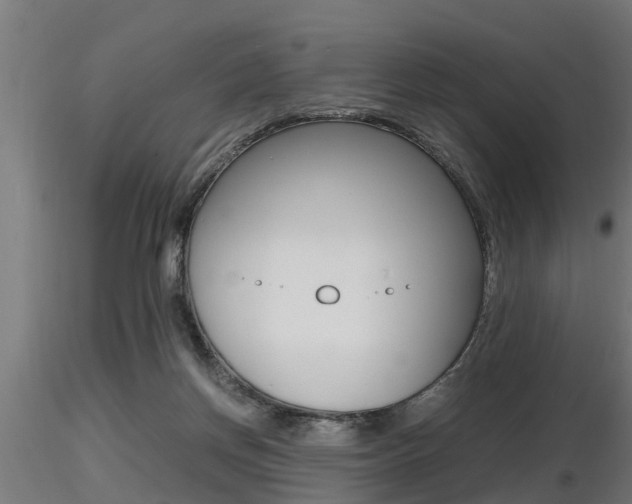 X0000116460166200912090935