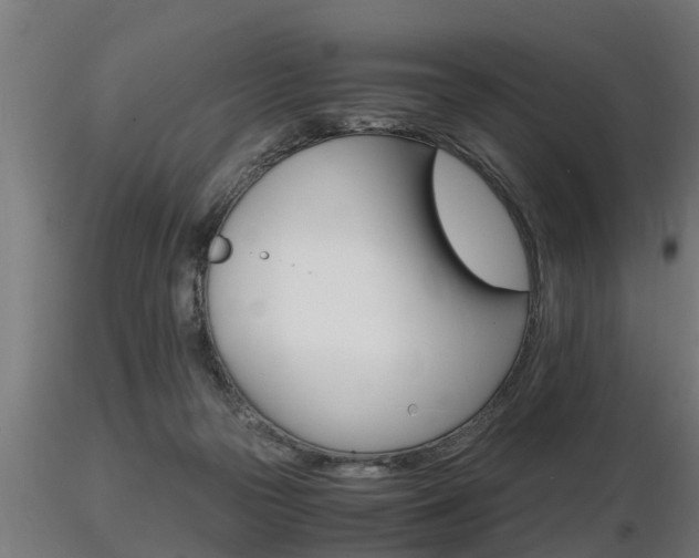 X0000116460169200912090935
