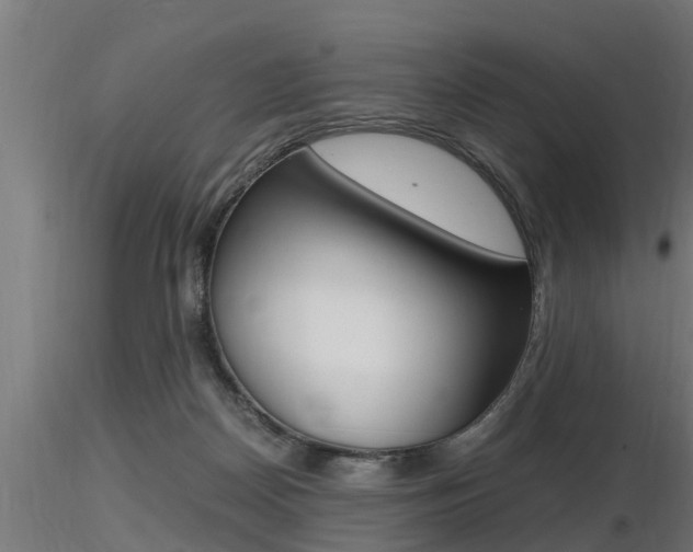 X0000116460170200912090935