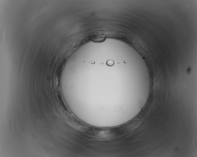 X0000116460173200912090935