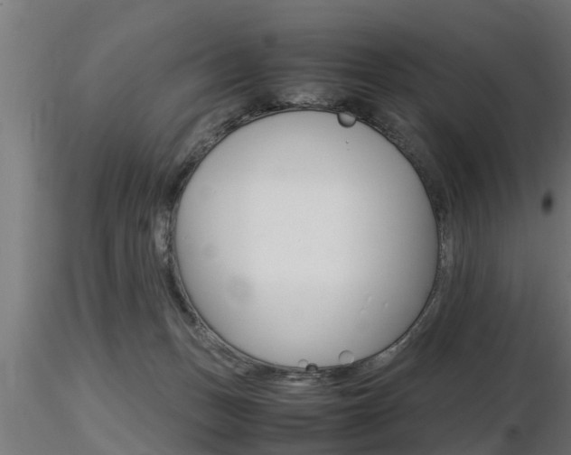 X0000116460175200912090935