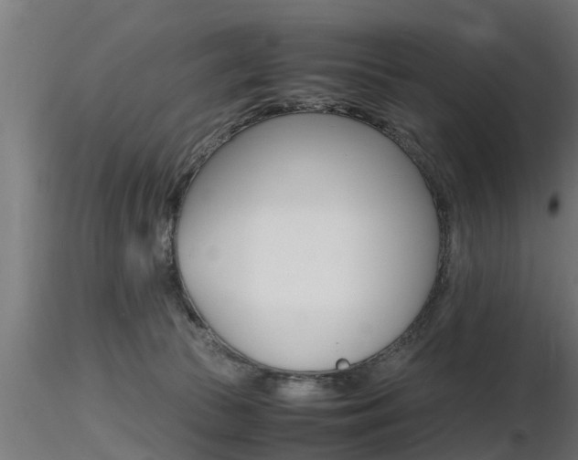 X0000116460177200912090935