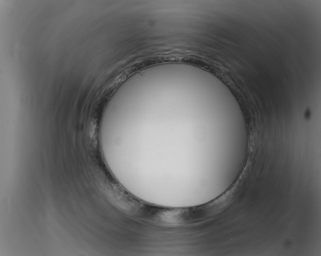 X0000116460178200912090935