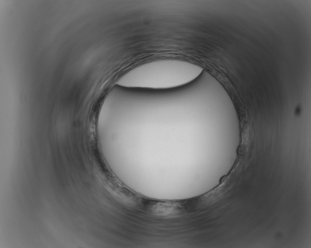 X0000116460179200912090936