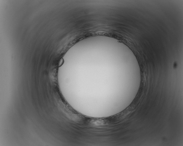 X0000116460181200912090936