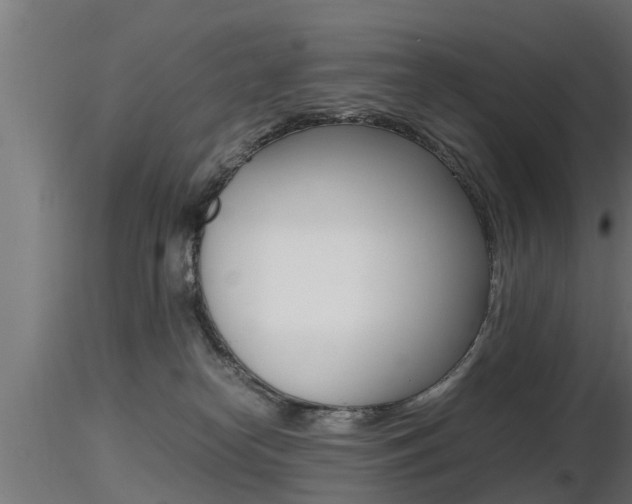 X0000116460182200912090936