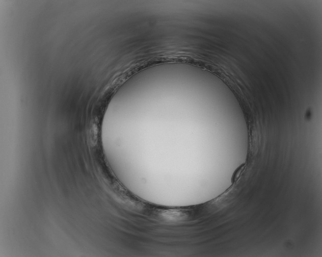 X0000116460183200912090936