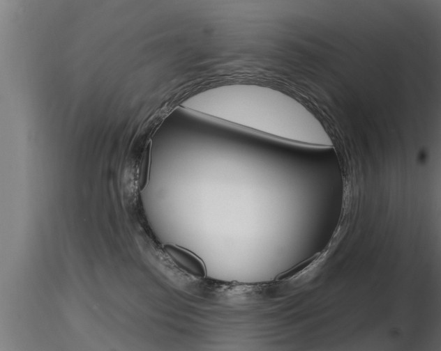 X0000116460186200912090936