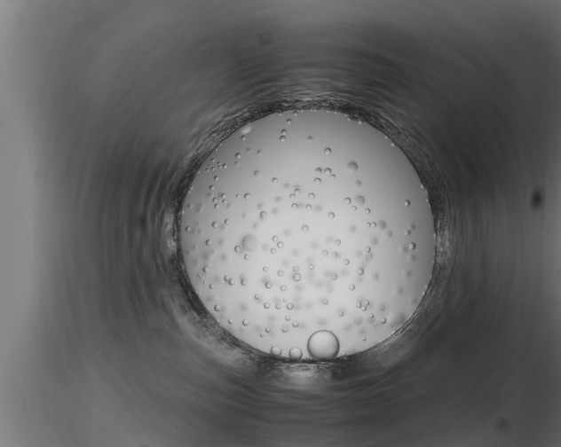 X0000116460187200912090936