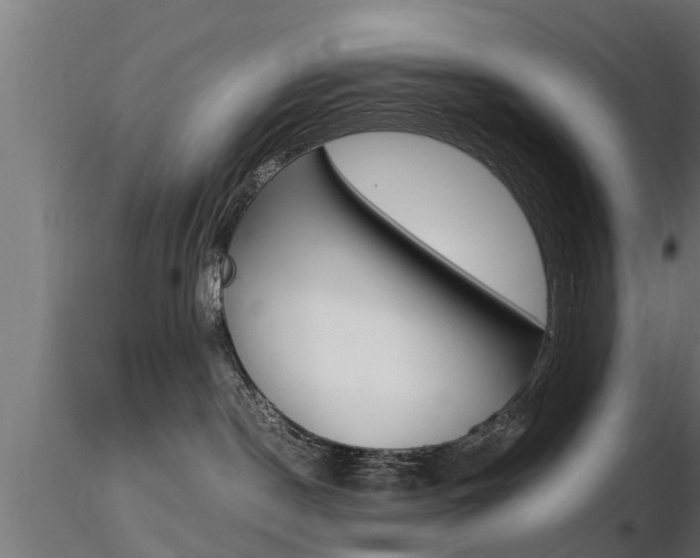 X0000116460190200912090936