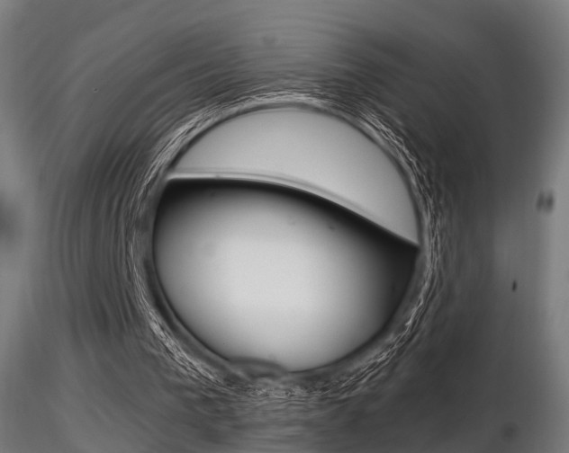 X0000116460193200912090935