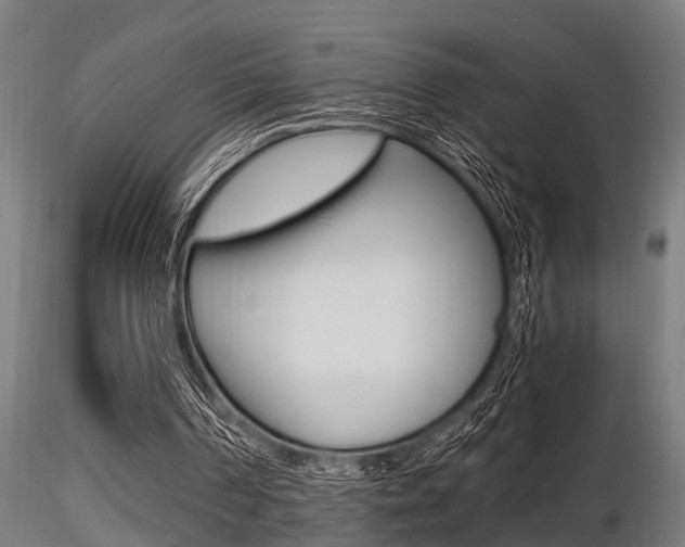 X0000116460194200912090935