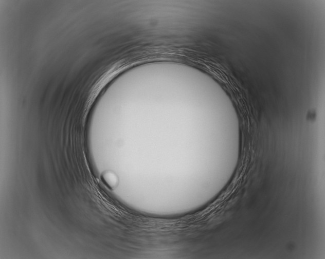 X0000116460195200912090935
