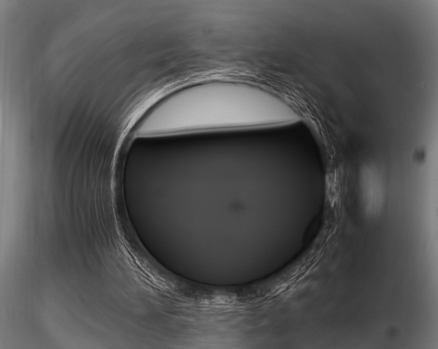 X0000116460196200912090935