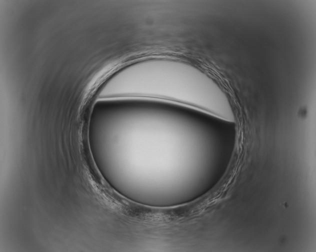X0000116460197200912090935