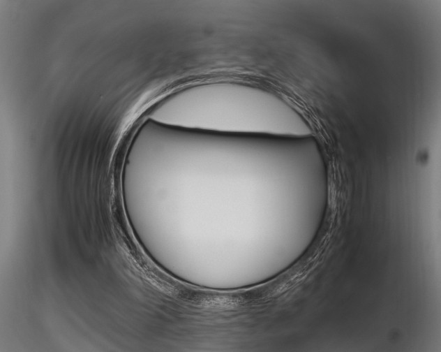 X0000116460198200912090935