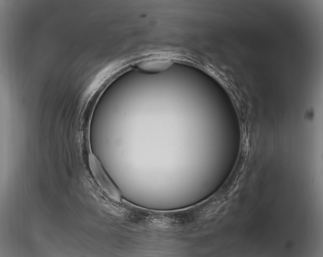 X0000116460199200912090935