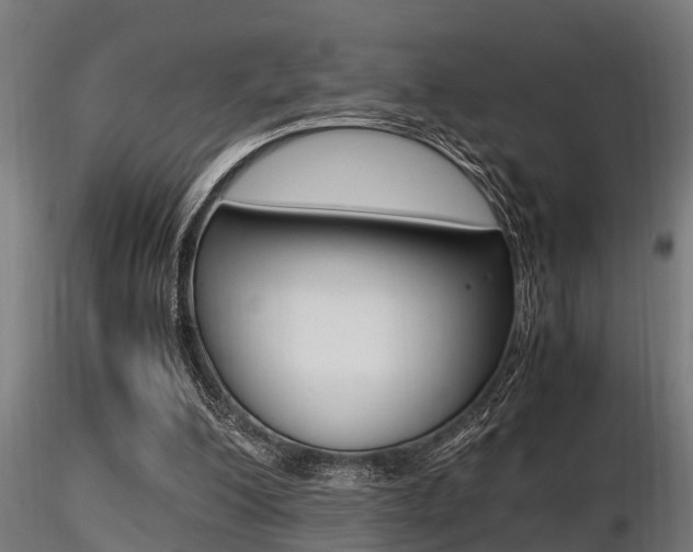 X0000116460200200912090935