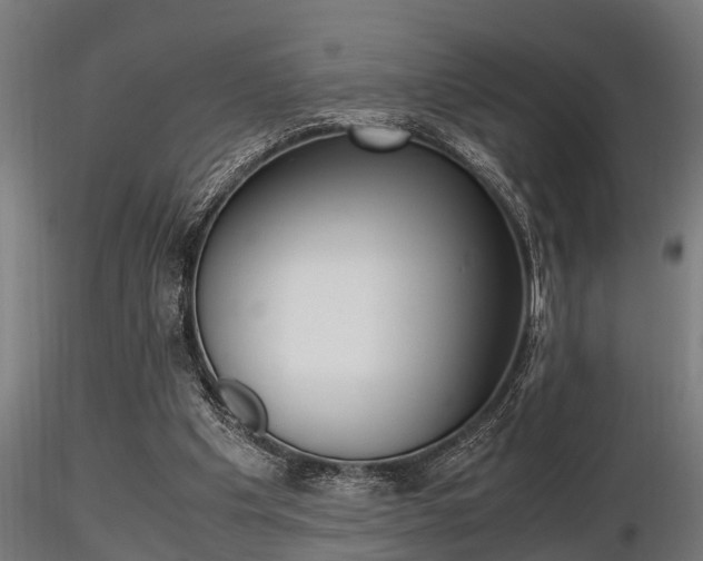X0000116460201200912090935