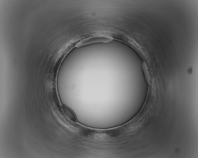 X0000116460203200912090935